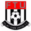 Flint Town badge